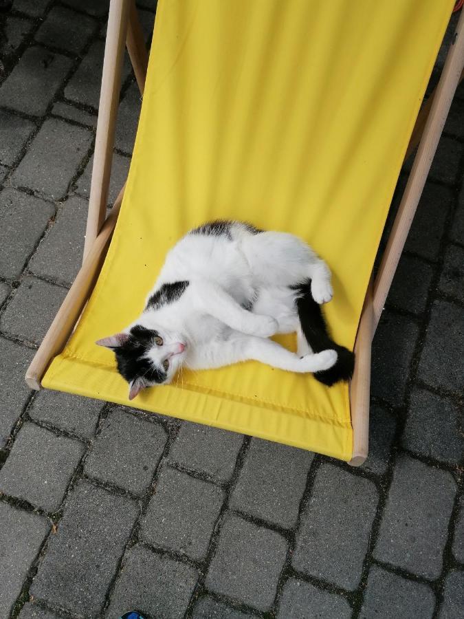 Domki W Zaciszu Ruś Exterior foto